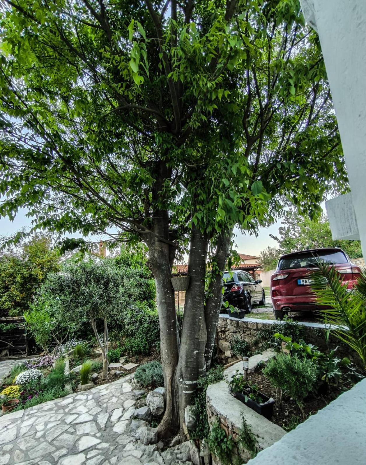 Nerezine Apartmany Centrum Kültér fotó